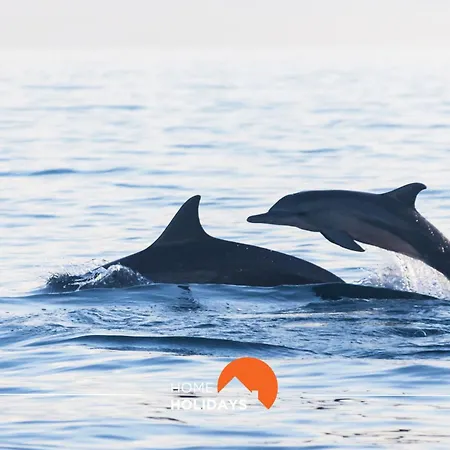 #162 Sumertime Flat By Holidays *